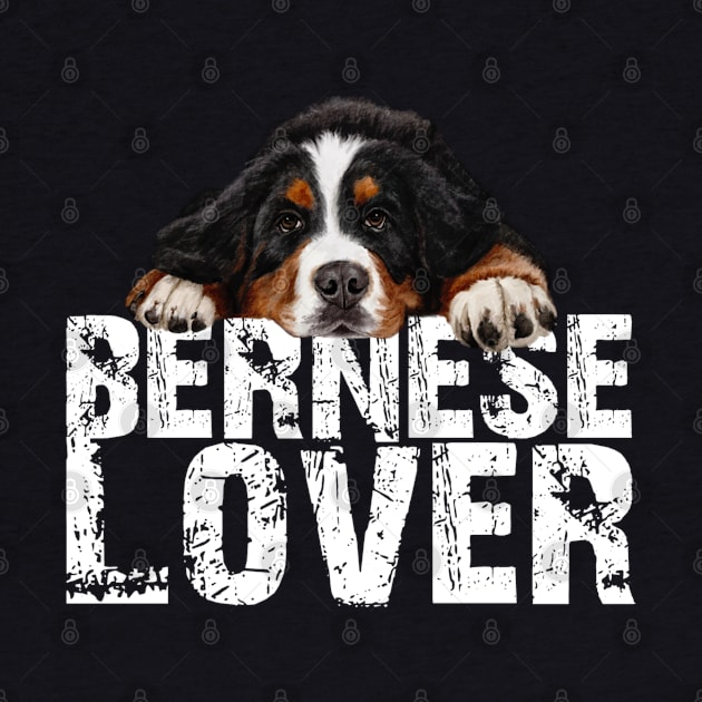 Bernese mountain dog by Bernesemountaindogstuff